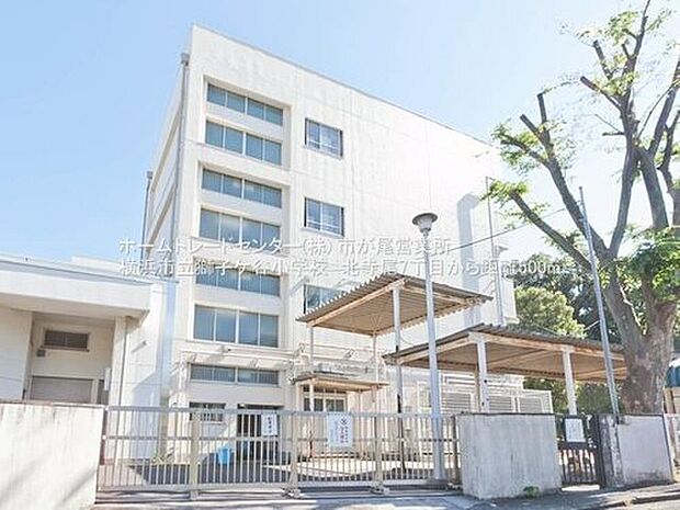 横浜市立獅子ケ谷小学校(約500m)