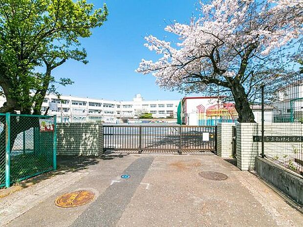 横浜市立白根小学校（約10m）