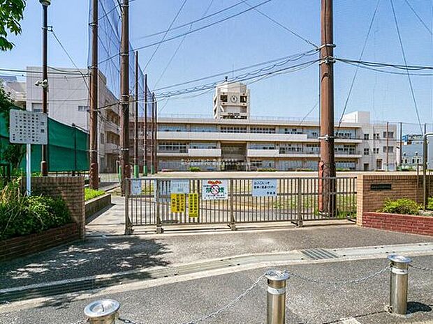 横浜市立寛政中学校(約550m)