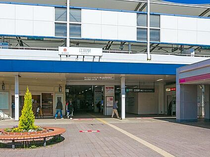 東急電鉄「江田」駅 800ｍ(徒歩10分)