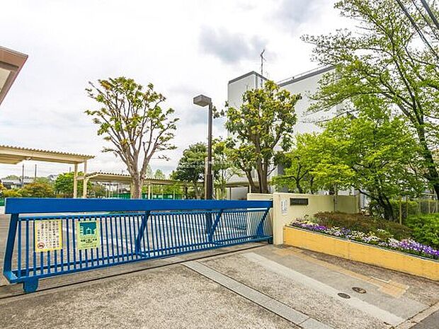 川崎市立白鳥中学校（約190m）