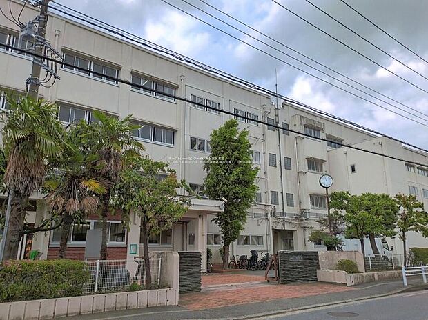 横浜市立新田中学校（約550m）