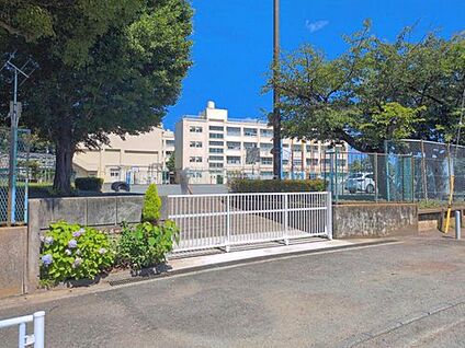 横浜市立荏田小学校 850m (徒歩11分、自転車5分)