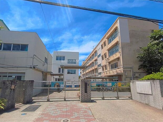 横浜市立つつじが丘小学校(約160m)
