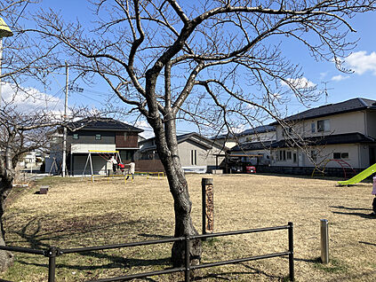 広面長沼街区公園 現地から80m。(徒歩1分。)