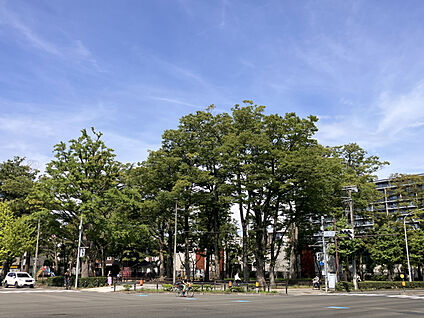 勝山公園 現地から300m。(徒歩4分。)