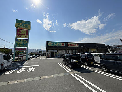 杏林堂ドラッグストア富士松岡店 現地から650m。(徒歩9分。)