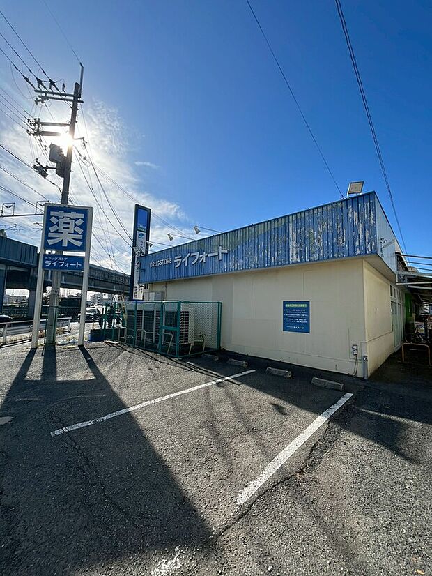 ドラッグストアライフォート江口店(約338m)