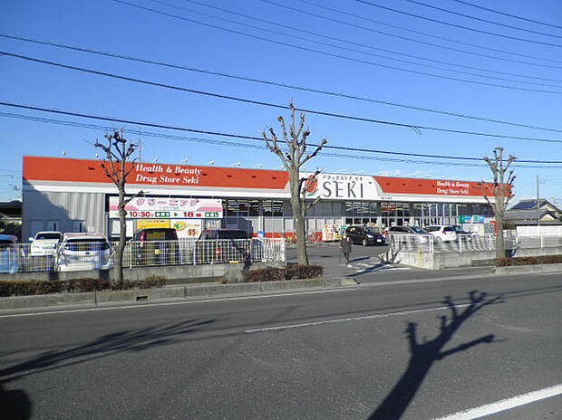 ドラッグストアセキ