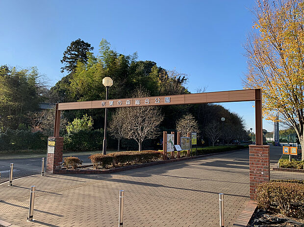 秋葉の森総合公園