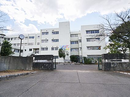 伊奈町小針中学校 約1200ｍ(徒歩15分)