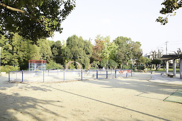 東大阪市アリーナ・八戸の里公園