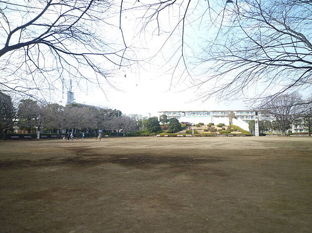 文理台公園