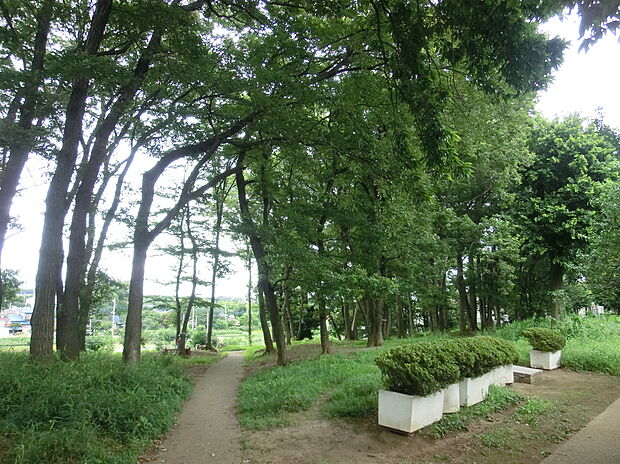 野寺緑地