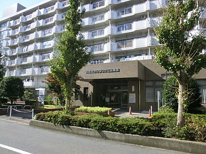西東京市ひばりが丘図書館 約395m