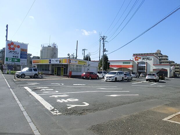オザム