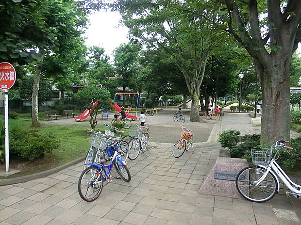 西大泉中央児童公園