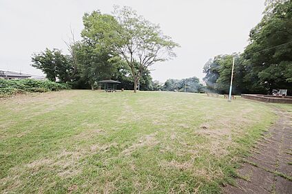 小山台遺跡公園 約524m