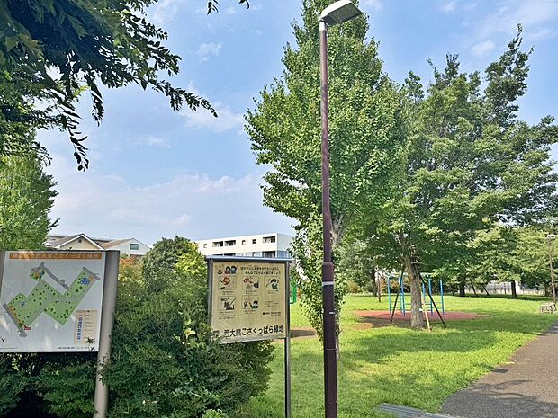 練馬区立西大泉こさくっぱら緑地