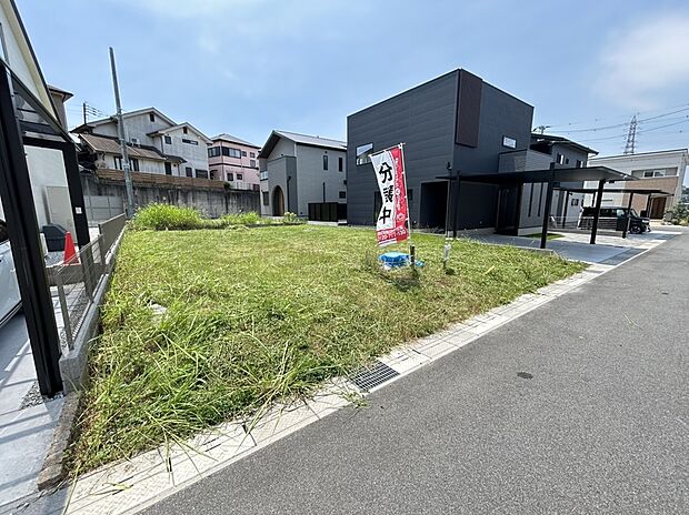 現地(2025年6月)撮影◆9号地