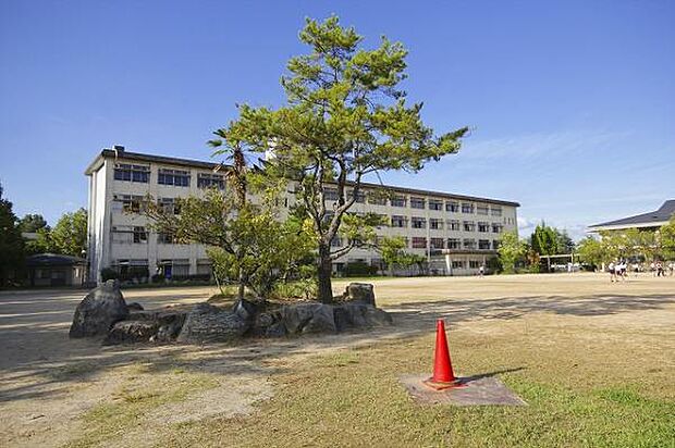 奈良市立西大寺北小学校（約800m）