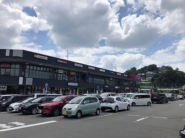 イオンタウン川西(約1,100m)