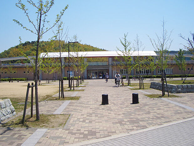 太子町総合公園
