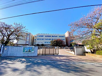 新座市立第四中学校 約800-900ｍ(徒歩10-12分)