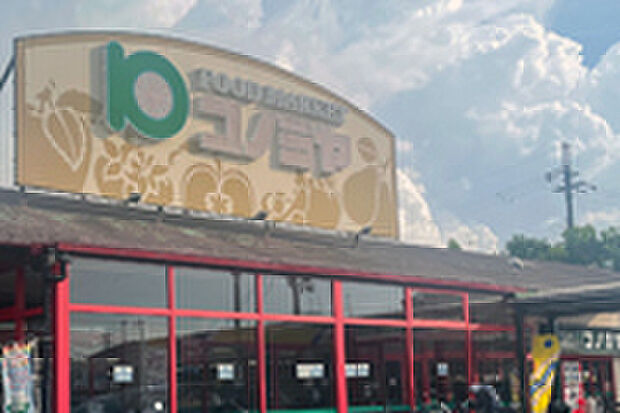 スーパーコノミヤ(約900m)