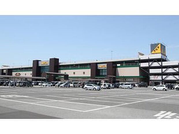 アピタ宇都宮店(約170m)