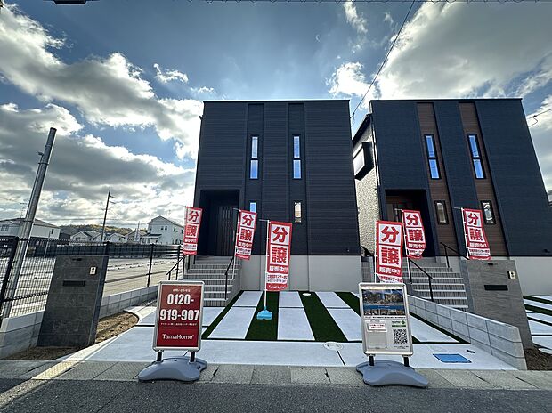 2025.04.18撮影。2号地。