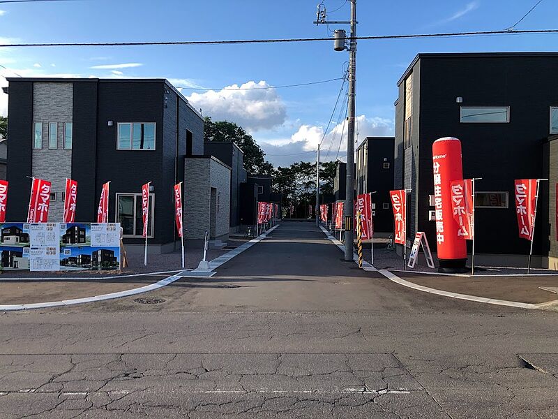 タマタウン内の道路