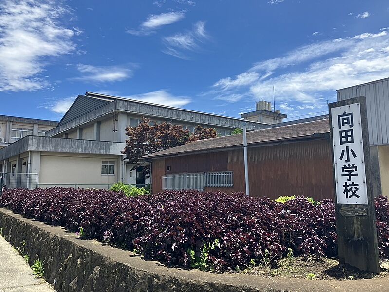 【学校】向田小学校