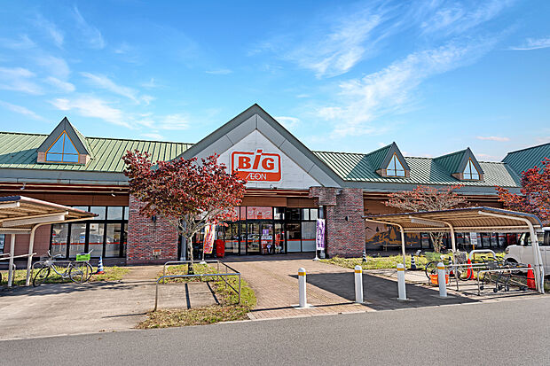 ザ・ビッグ篠山店(約290m)