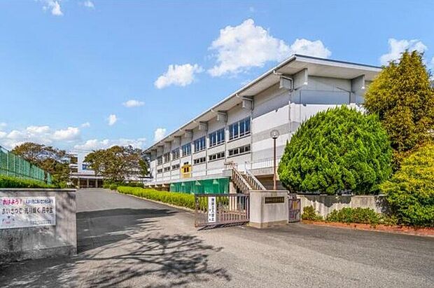 丹南中学校(約1m)