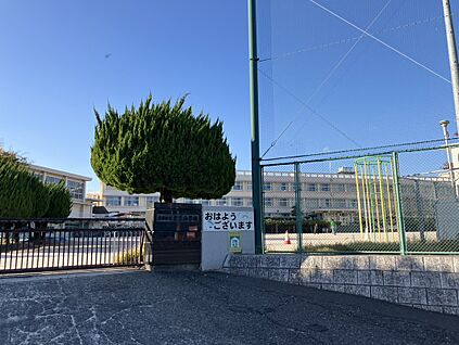 愛宕小学校 約600ｍ(徒歩約8分)