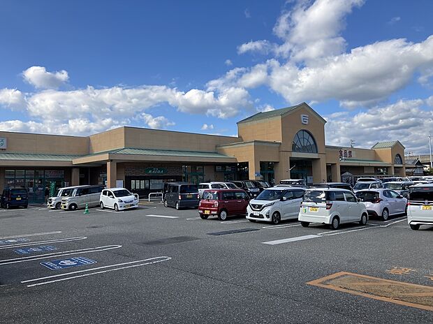 フジグラン野市店(約1,200m)