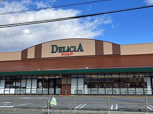 デリシア諏訪豊田小川店(約950m)