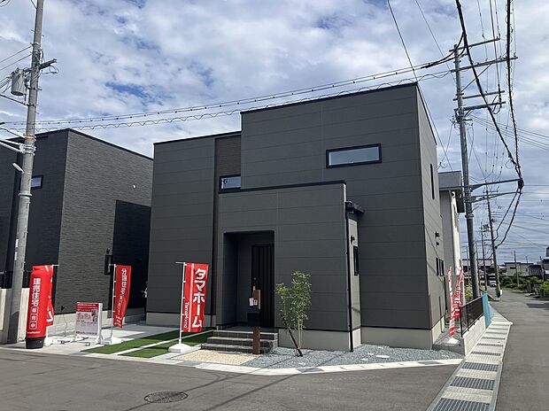 【1号地】2026/5/23