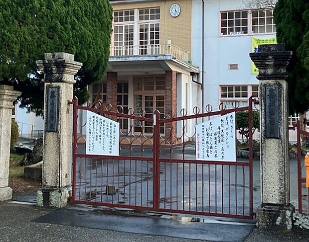 篠山小学校(約750m)