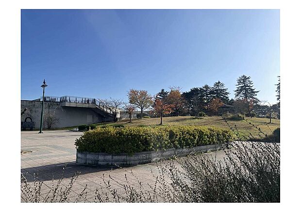 荒雄公園(約350m)