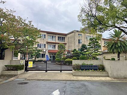 寺津小学校 約500ｍ(徒歩約7分)