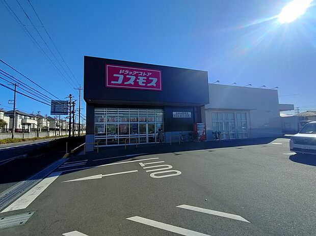 ドラッグストアコスモス(約250m)