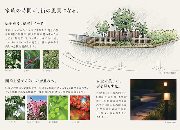 美しく区画整理された街並みは、ゲートツリーや植栽帯などを配置し、エリア内で使用できるゴミステーションも整備するなど美観を維持する工夫がされています。