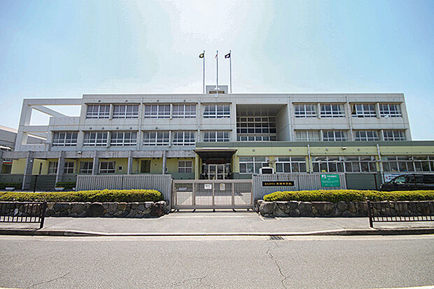 飛幡中学校(約530m)