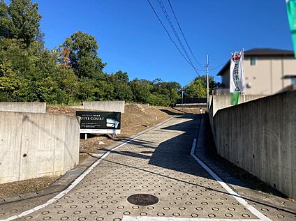 1・2・3号地南側道路(西側から撮影)