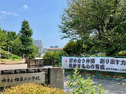 柏市立柏第六小学校 270ｍ(徒歩4分)