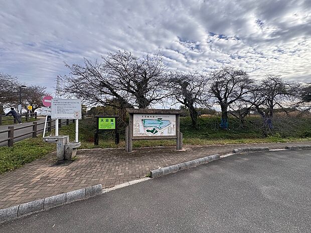 大沼公園（約2,100m）