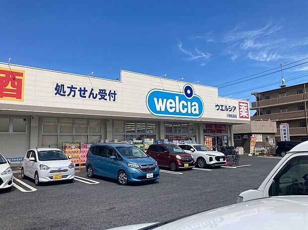 ウエルシア川越仙波店(約270m)