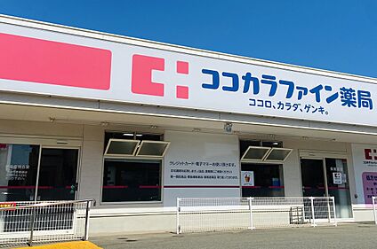 ココカラファイン東花園店 850ｍ(徒歩約12分)